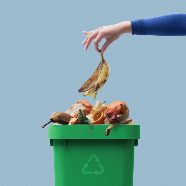 Circular solutions for keeping food waste out of Central Europe's schools (CIRCUS)